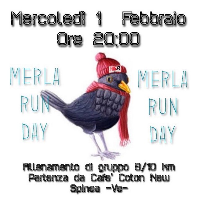 Runspinearun- MERLA RUN DAY- 01_02_2017